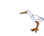 Avatar de pigeon59
